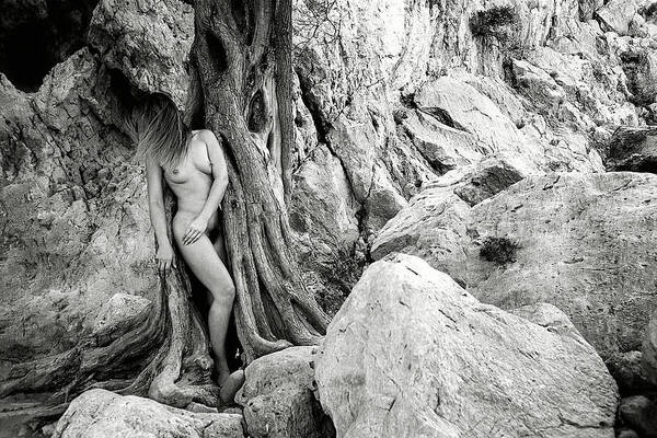 Black And White Nudes Poster featuring the photograph The tree by Manolis Tsantakis