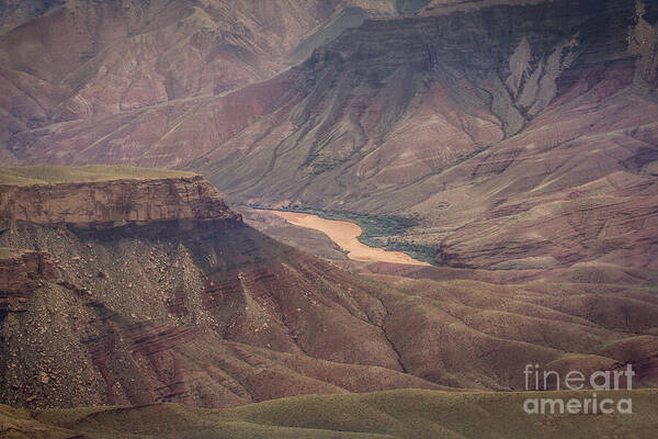 North Rim Poster featuring the photograph The Unkar Delta by Robert Bales