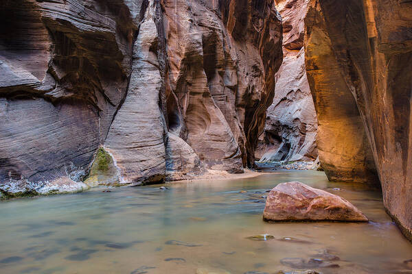 Zion National Park Poster featuring the photograph The Virgin River by Adam Mateo Fierro