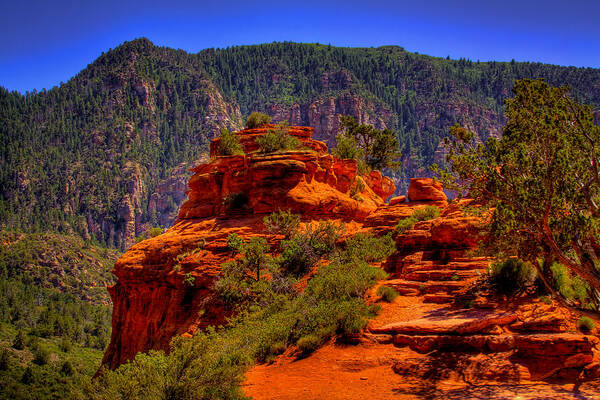 Sedona Poster featuring the photograph The Wedding Rock in Sedona by David Patterson