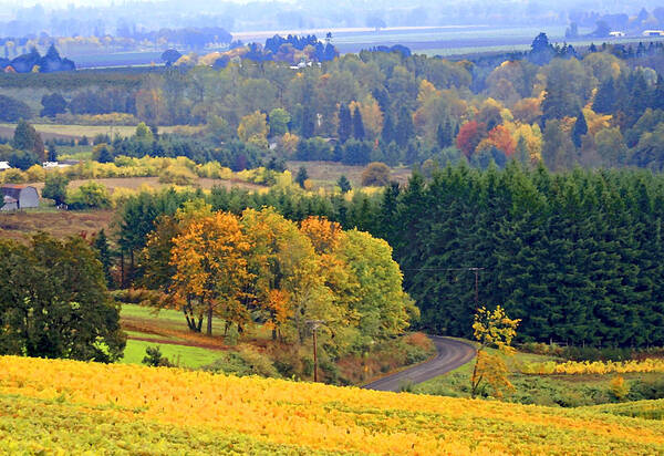 Willamette Valley Poster featuring the photograph The Willamette Valley by Margaret Hood