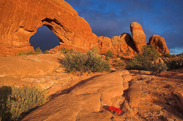 Arch Poster featuring the photograph The Window by Steve Stuller