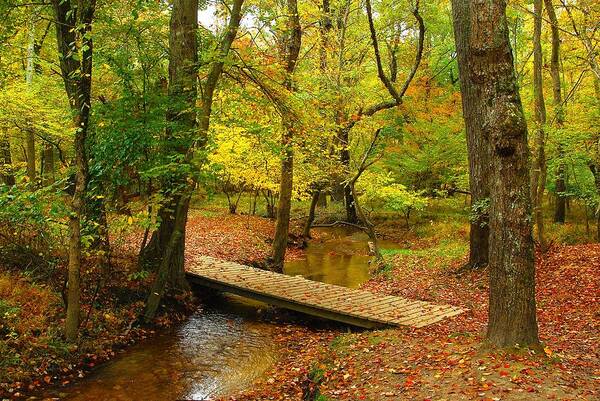Autumn Landscapes Poster featuring the photograph There Is Peace - Allaire State Park by Angie Tirado