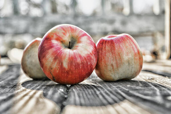 Sharon Popek Poster featuring the photograph Three Apples by Sharon Popek