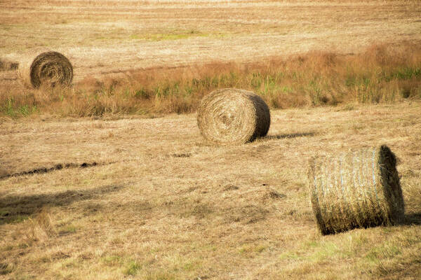 Hay Bales Poster featuring the photograph Three Hay Balls - by Julie Weber