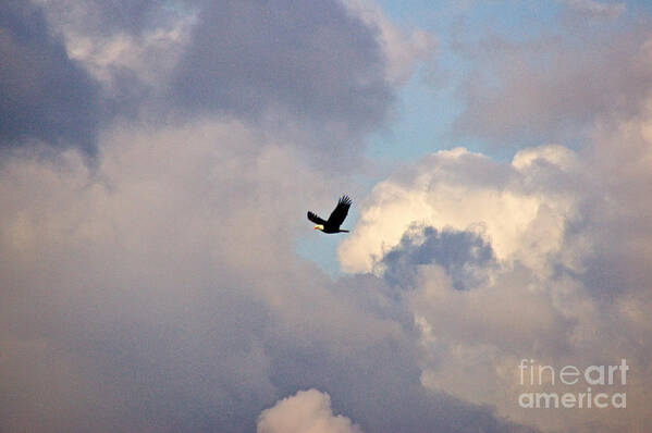 Photography Poster featuring the photograph Through Stormy Skies by Sean Griffin