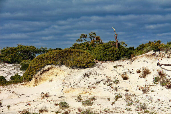 Nature Poster featuring the photograph Thunderclouds Over St George Island Beach Dunes II by DB Hayes