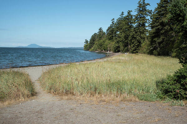 Tide Is In At Bay View Poster featuring the photograph Tide Is In At Bay View by Tom Cochran