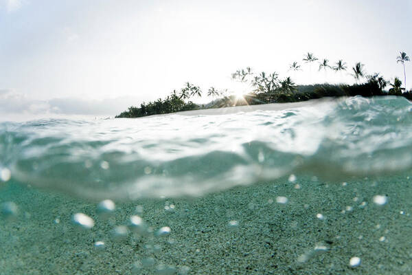 Submerged Poster featuring the photograph Tiny Bubbles by Sean Davey