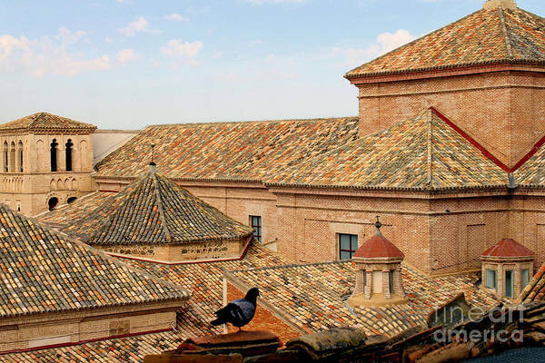 Unesco Poster featuring the photograph Toledo Roofs and Dove by Nieves Nitta