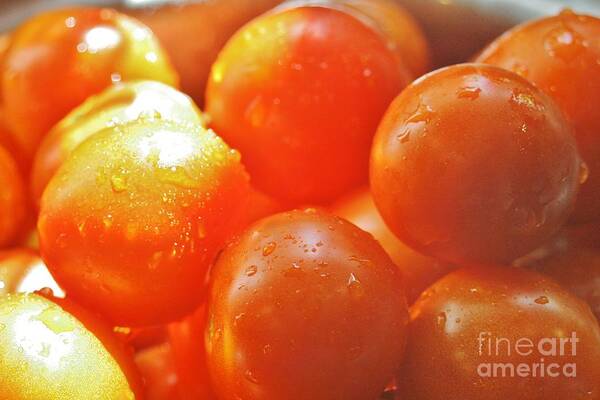 Fruit Poster featuring the photograph Tomato Tears by Barbara S Nickerson