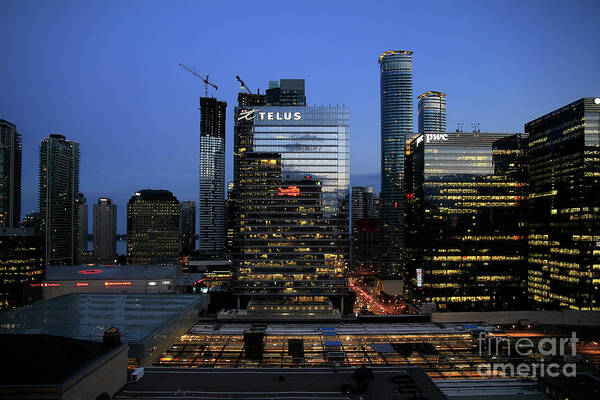 Toronto Poster featuring the photograph Toronto At Night by Teresa Zieba