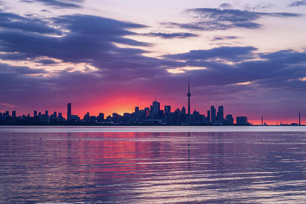 Georgia Mizuleva Poster featuring the photograph Toronto in Fifty Shades of Violet Pink and Purple by Georgia Mizuleva