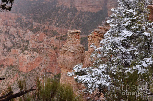 Grand Canyon Poster featuring the photograph Towers in the Snow by Debby Pueschel