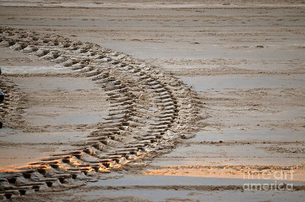 Abstract Poster featuring the photograph Tractor Tracks by Jason Freedman