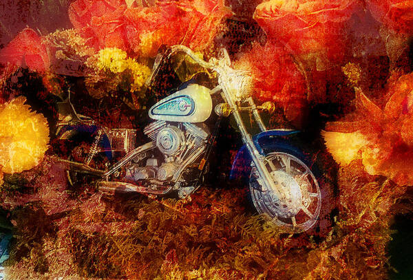 Motorcycle Poster featuring the photograph Tribute to Dad by Diane Lindon Coy
