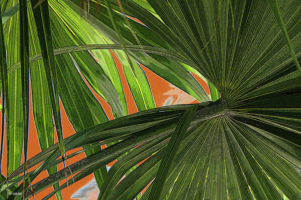 Key West Poster featuring the photograph Tropical Palms 2 by Frank Mari