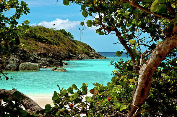 Trunk Bay Poster featuring the photograph Trunk Bay Island by Harry Spitz