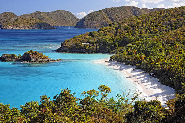 Bathing Poster featuring the photograph Trunk Bay St John US Virgin Islands by George Oze