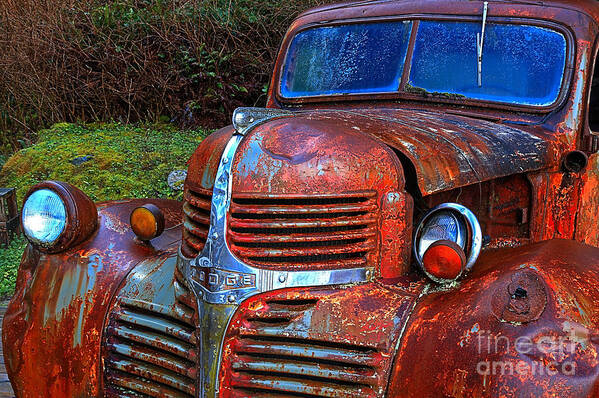 Dodge Truck Poster featuring the photograph Trust Rusty by Adam Jewell