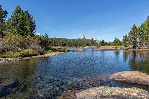 Tuolumne River Poster featuring the photograph Tuolumne River and Meadows, No. 2 by Belinda Greb