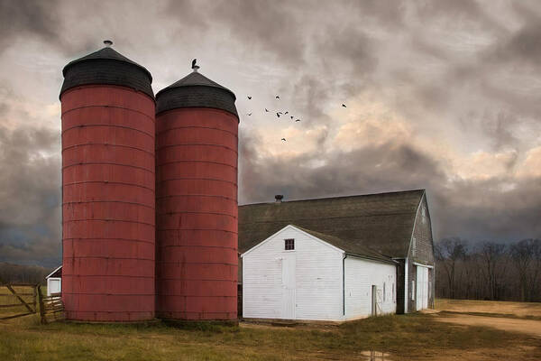 Silos Poster featuring the photograph Twin Silos by Robin-Lee Vieira