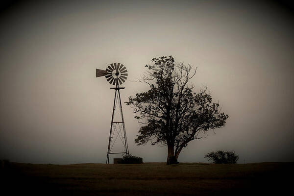 Landscape Poster featuring the photograph Two Old Friends by Sheila Brown