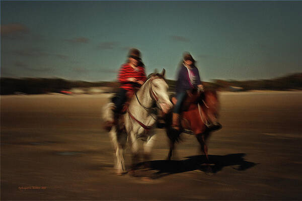 Horses Poster featuring the photograph Two on the Road by Aleksander Rotner