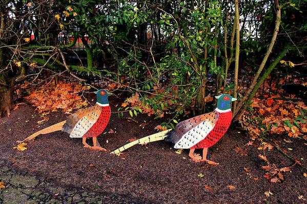 Creativity Poster featuring the photograph Two pheasants on the sidelines by Marina Usmanskaya