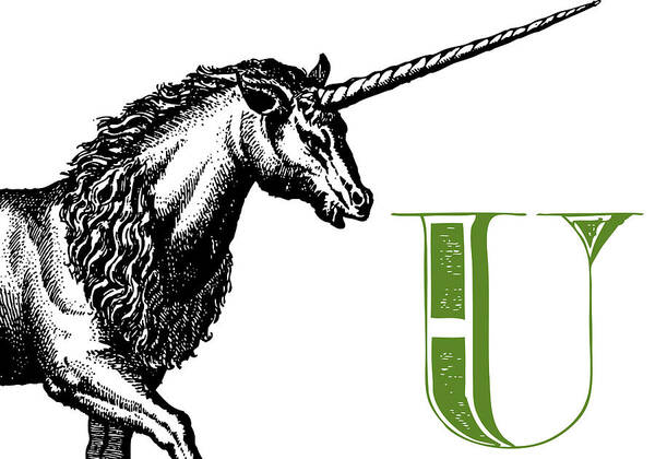 Animal Poster featuring the digital art U Unicorn by Thomas Paul
