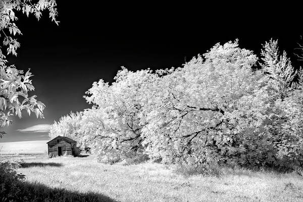 Infrared Poster featuring the photograph Under a Dark Sky by Dan Jurak