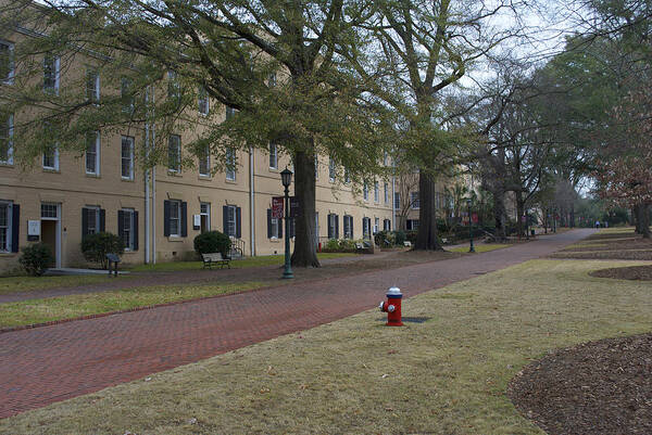 Nic Tours Poster featuring the photograph University Of South Carolina 2 by Skip Willits