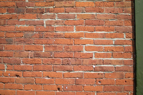 Brick Wall Poster featuring the photograph Up Against a Wall by Tom Cochran