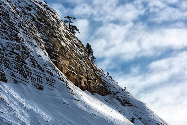 Southwest Poster featuring the photograph Uphill All The Way by Sandra Bronstein