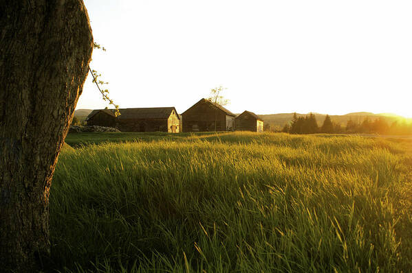 Sunset Poster featuring the photograph Upstate NY Farm by Henri Irizarri