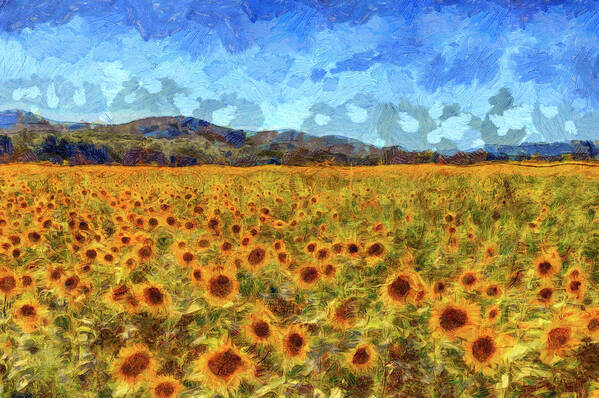Sunflower Garden - Velvet Coloring Poster