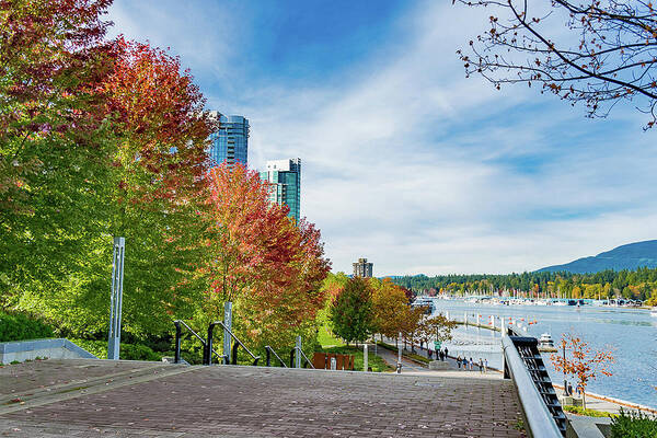 Fall Poster featuring the photograph Vancouver - Fall at Coal harbour by David Lee