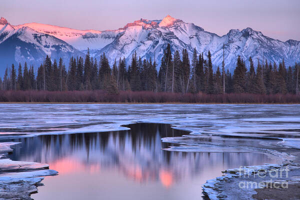 Vermilion Lakes Poster featuring the photograph Vermilion Lakes Pink Reflections by Adam Jewell