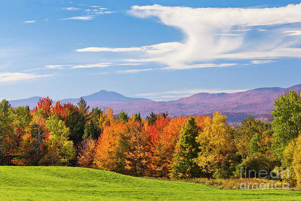 Fall Poster featuring the photograph Vermont Autumn View by Alan L Graham