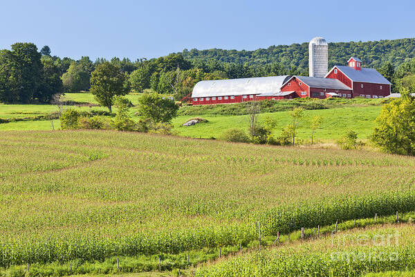 Summer Poster featuring the photograph Vermont Farm Landscape by Alan L Graham