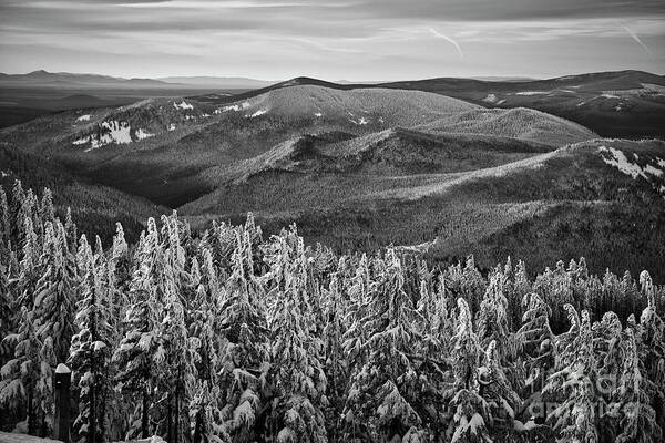Ski Slope Poster featuring the photograph View From Mt. Hood in black and white by Bruce Block