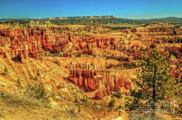 Rock Formations Poster featuring the photograph View From Sunset Point by Robert Bales