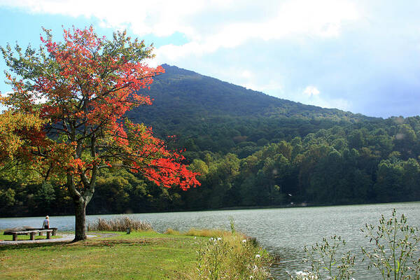 Lake Poster featuring the photograph View of Abbott Lake and Sharp Top in autumn by Emanuel Tanjala