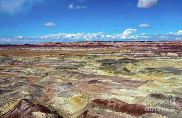 Painted Desert Poster featuring the photograph View of the Little Painted Desert by Stephen Whalen