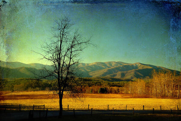 Cades Cove Poster featuring the photograph View Of The Smokies by Mike Eingle