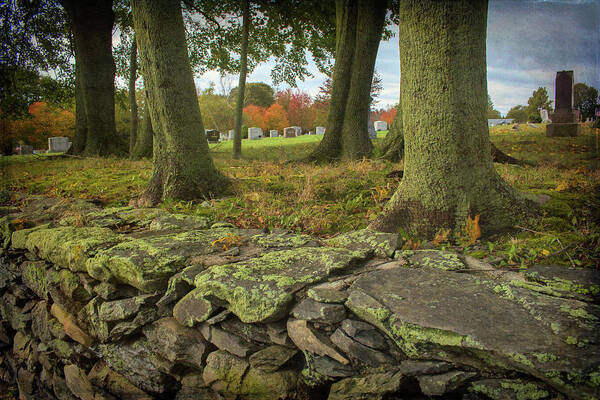 Stone Wall Poster featuring the photograph View Toward the Cemetery by Nancy De Flon