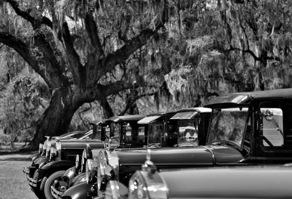Magnolia Plantation Poster featuring the photograph Vintage Ford Line-up at Magnolia Plantation - Charleston SC by Donnie Whitaker