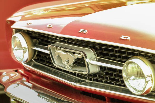 Mustang Poster featuring the photograph Vintage Mustang by Caitlyn Grasso