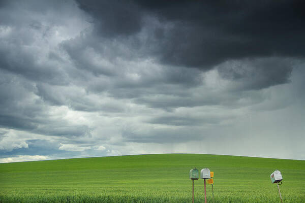 Palouse Rolling Fields Poster featuring the photograph Waiting for something by Kunal Mehra