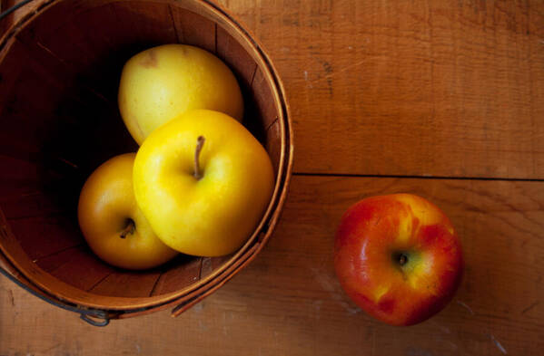 Apples Poster featuring the photograph Waiting by Toni Hopper